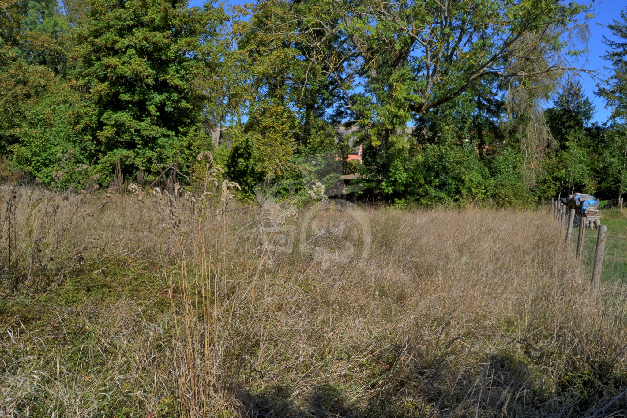Maison à vendre à Selles, 210 m², 1 pièce – photo 3 sur 16