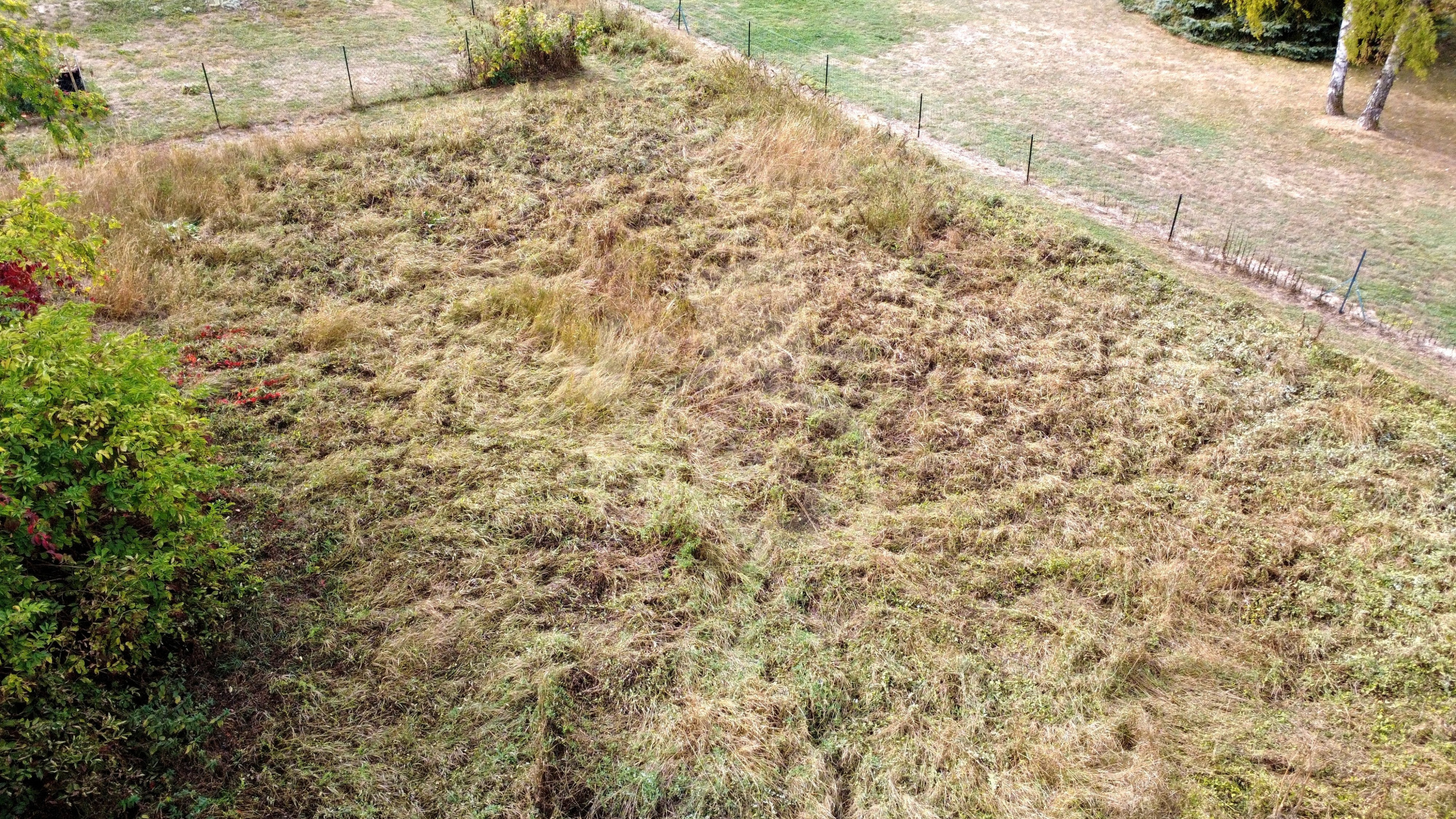 Terrain à vendre à Selles, 942 m² – photo 2 sur 14
